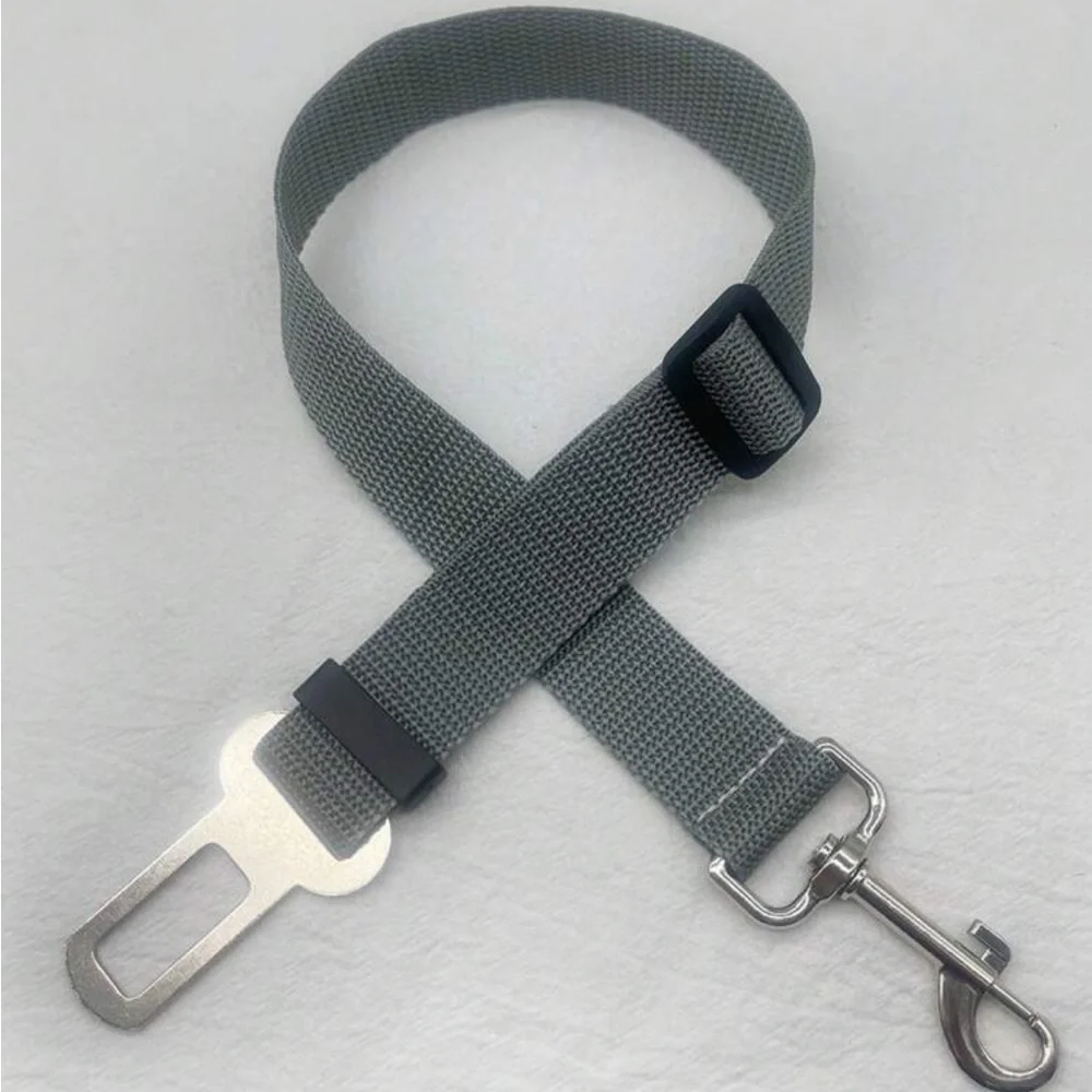 PET SEATBELT